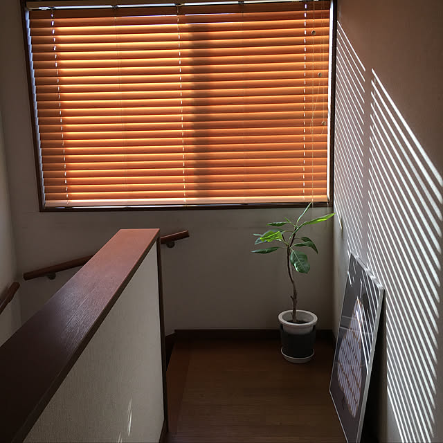 hakuch0426さんの実例写真