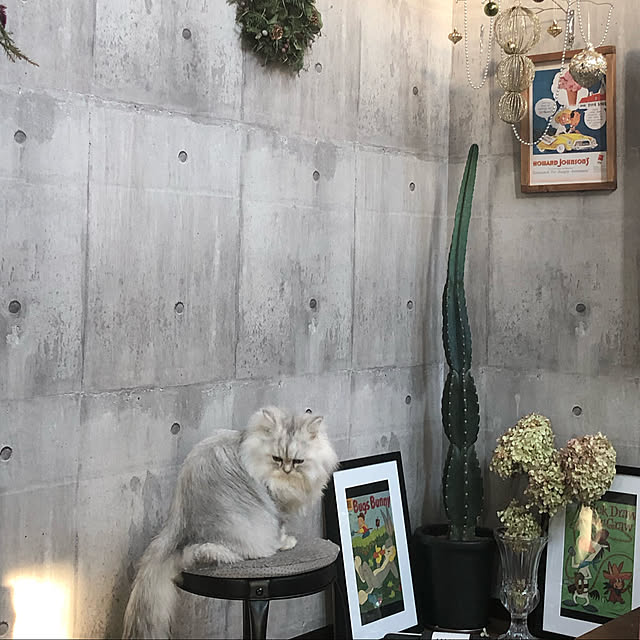 kazueさんの実例写真