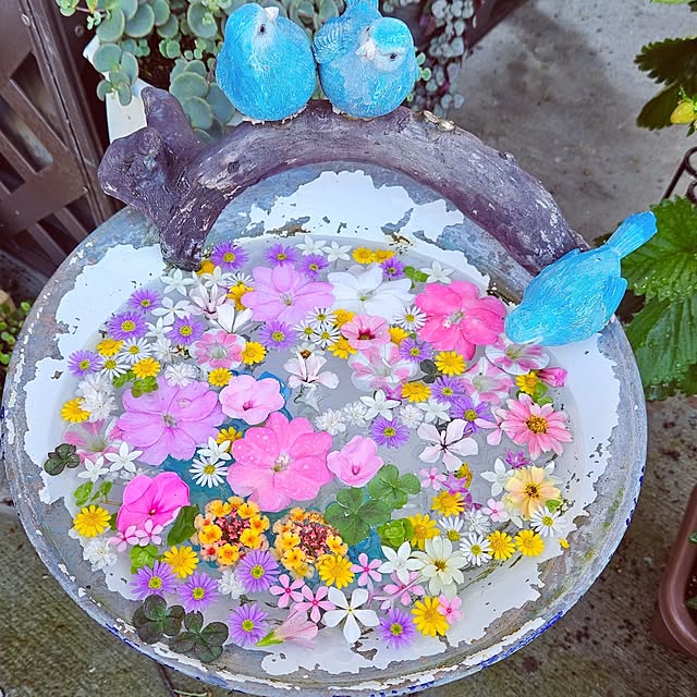 mocomocoさんの部屋