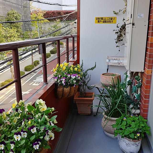 manaminさんの実例写真