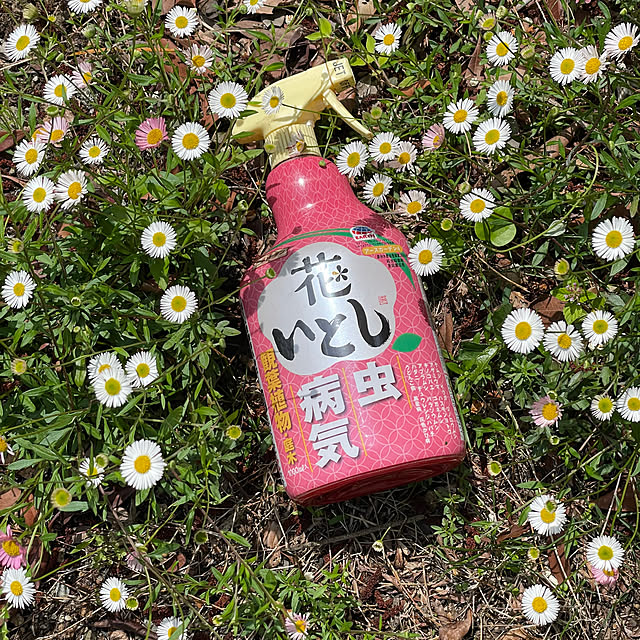 kabu10さんの実例写真