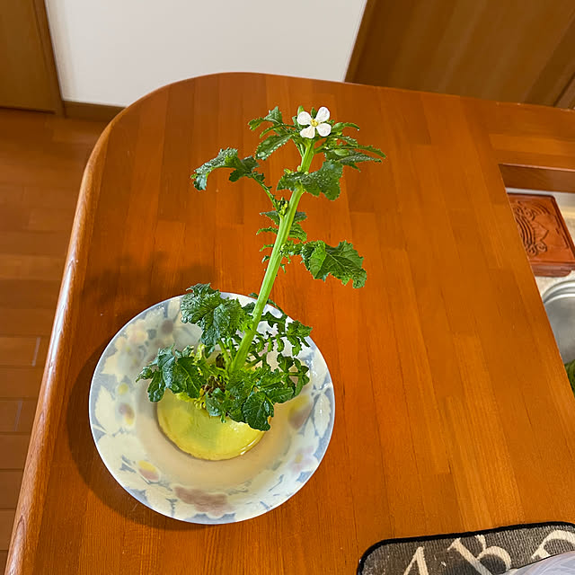 chanchikaさんの実例写真