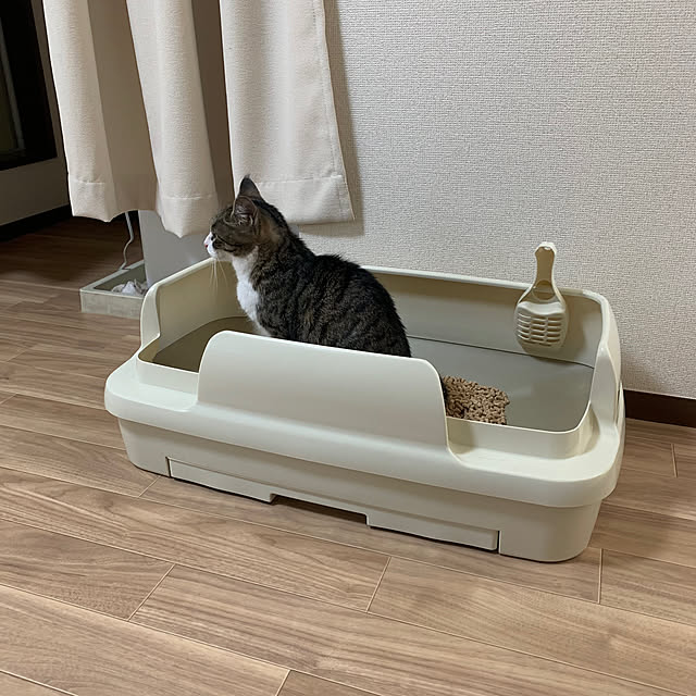 実例写真