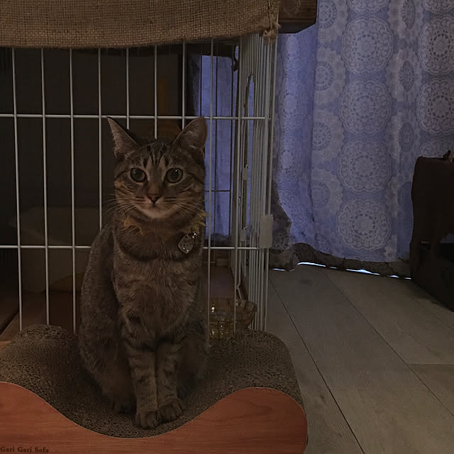 Mさんの実例写真