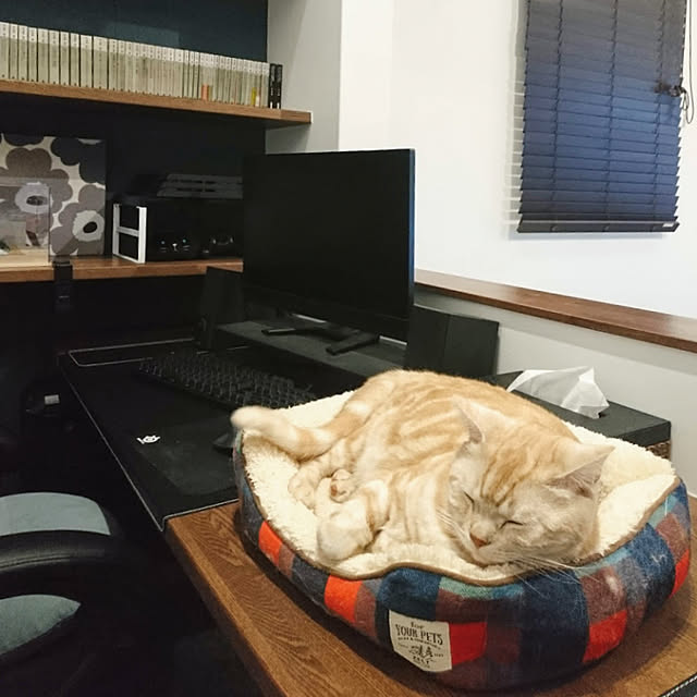 malmさんの実例写真