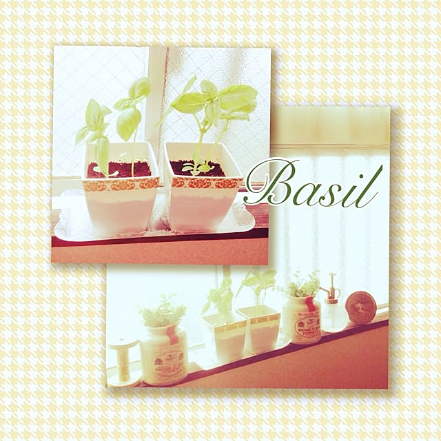 rosetteさんの実例写真