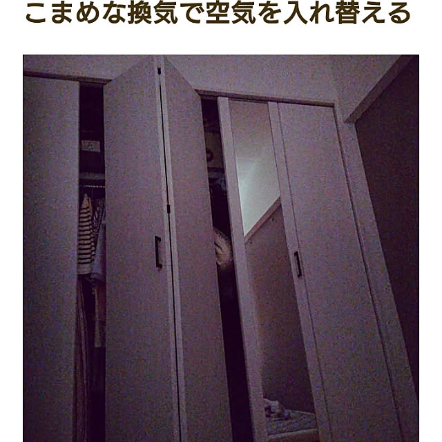 miaoさんの実例写真