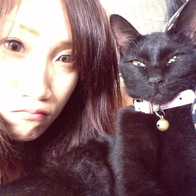 yufullfullさんの実例写真