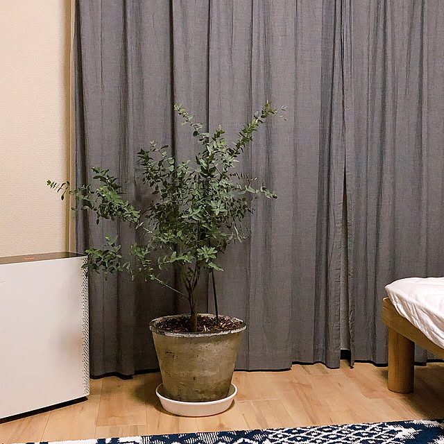 nemui.uouさんの実例写真
