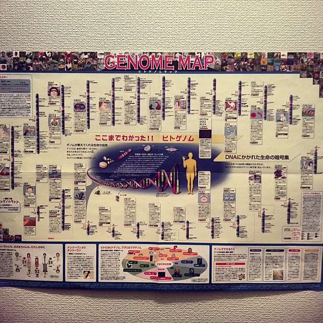 Mochinさんの実例写真