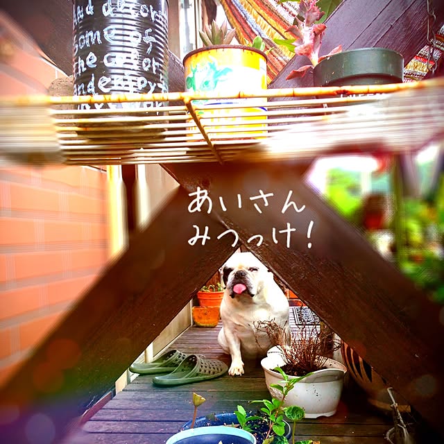 38coreさんの実例写真
