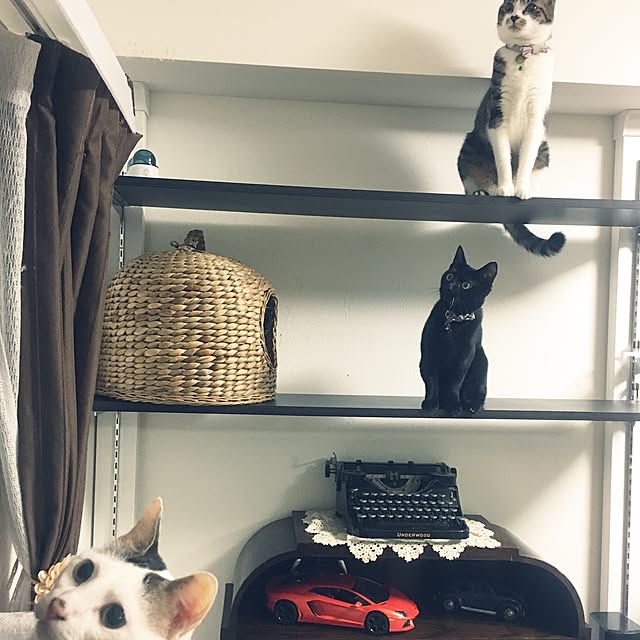 Mihoさんの実例写真