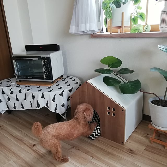 santamamaさんの部屋