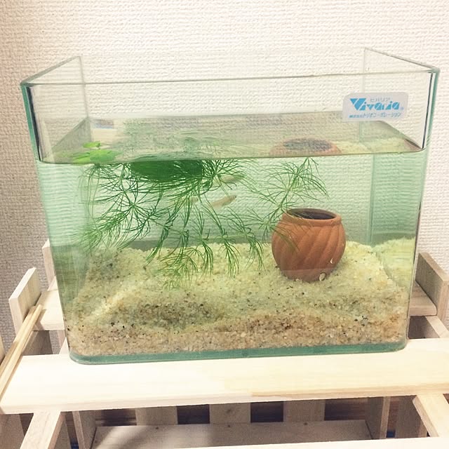 natsumikanさんの実例写真
