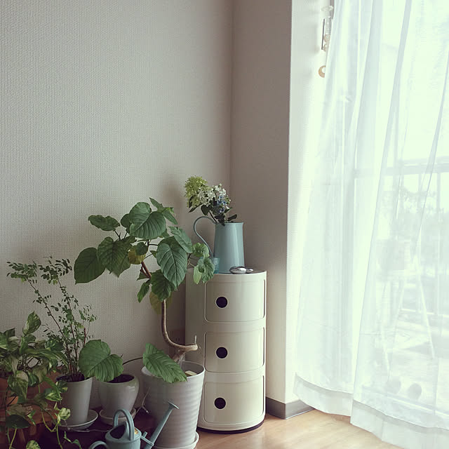 Hanaさんの実例写真