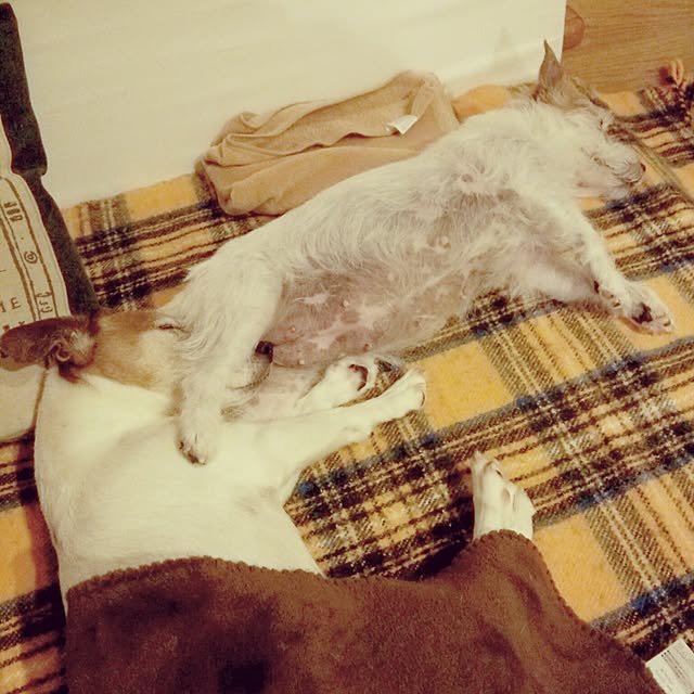 Mさんの実例写真