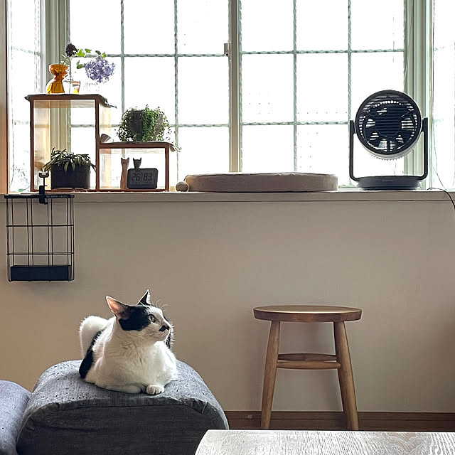 nobikoさんの部屋