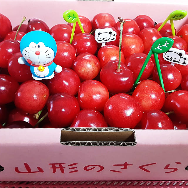 katさんの実例写真