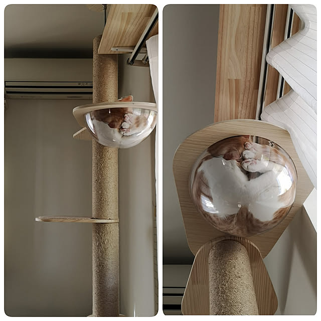 koyurizuさんの実例写真