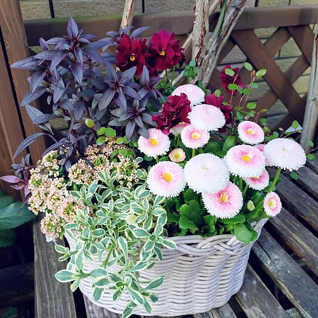 makotomosukeさんの実例写真