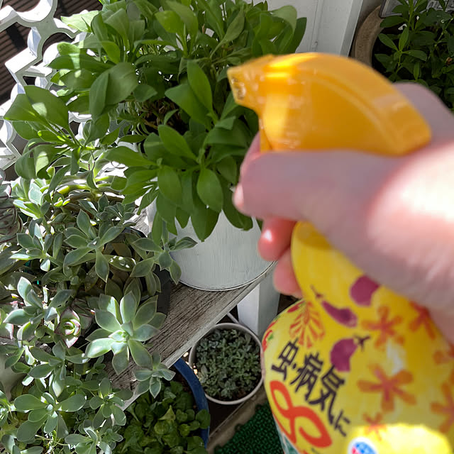 izurinaさんの部屋