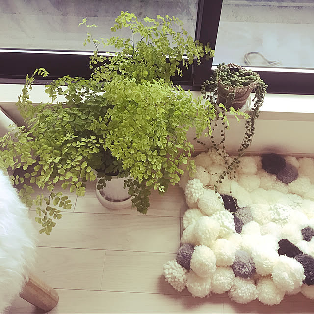 hinoteriさんの実例写真
