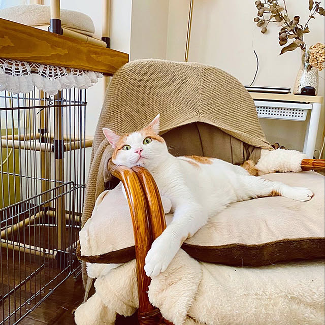 YUKAさんの実例写真