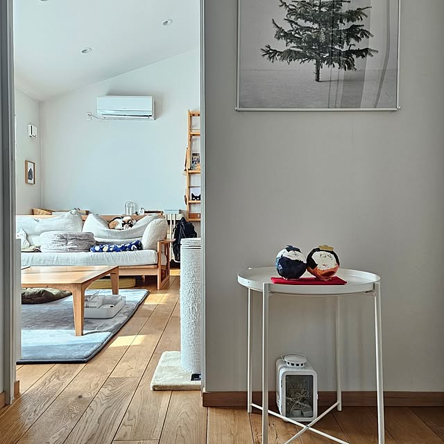 koyurizuさんの部屋