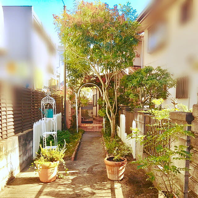 marimoさんの実例写真