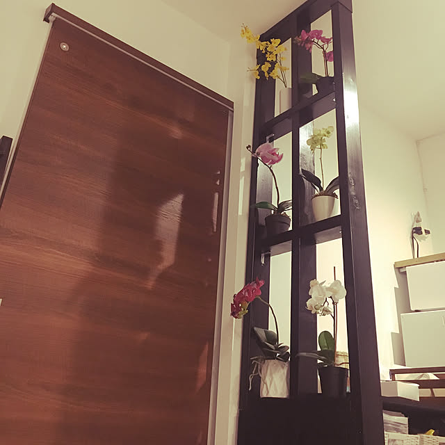 sasaさんの実例写真