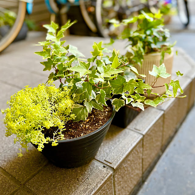 tututu0204さんの部屋