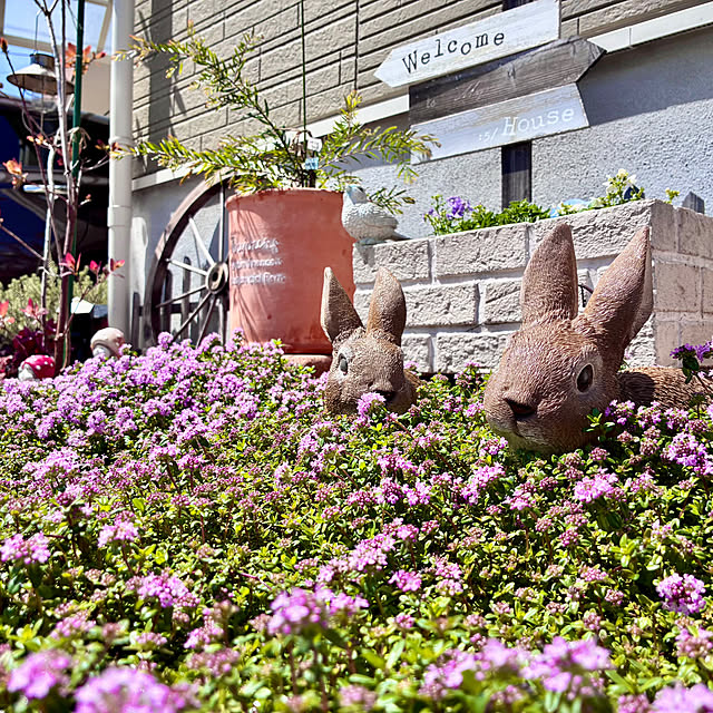 Junさんの実例写真