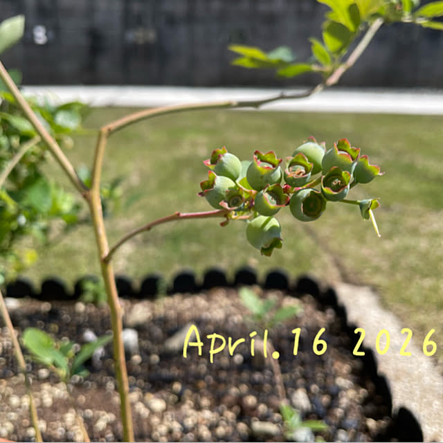 moto_nyaiderさんの部屋