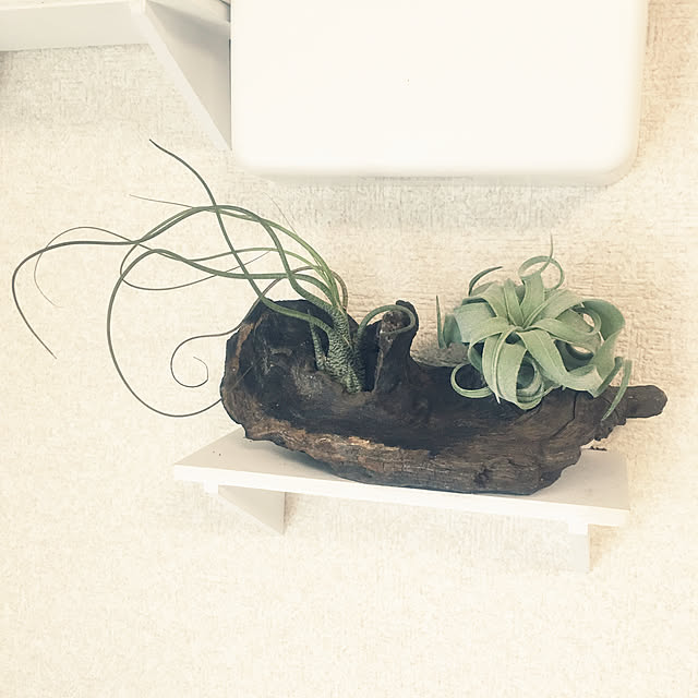 meさんの実例写真