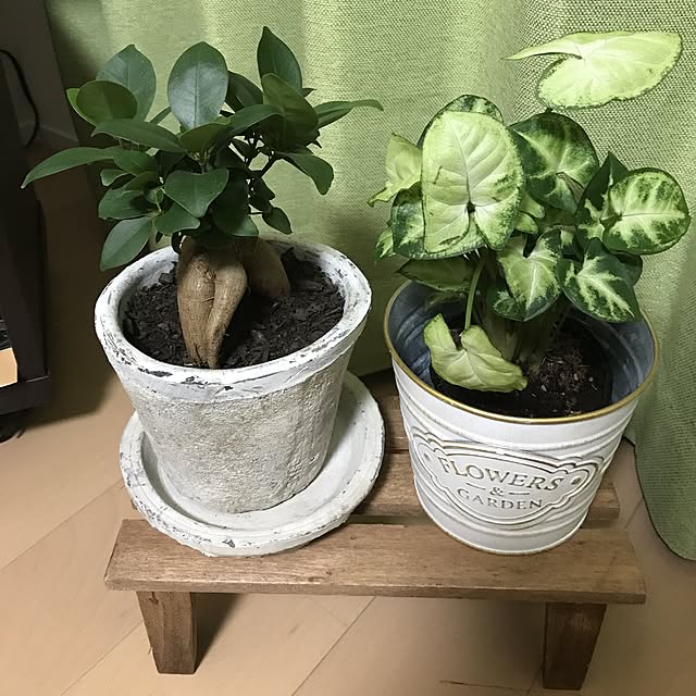 yuikomandxさんの実例写真