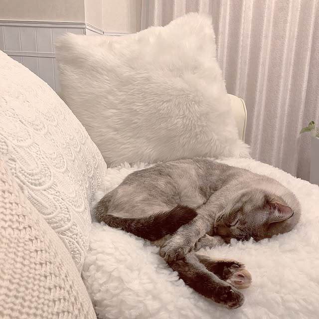 noelさんの実例写真