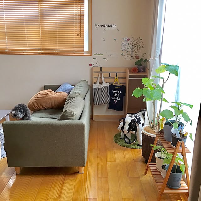 makoriさんの実例写真