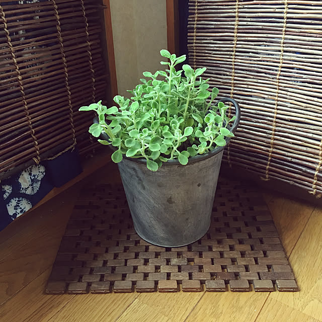 Mikakoさんの実例写真
