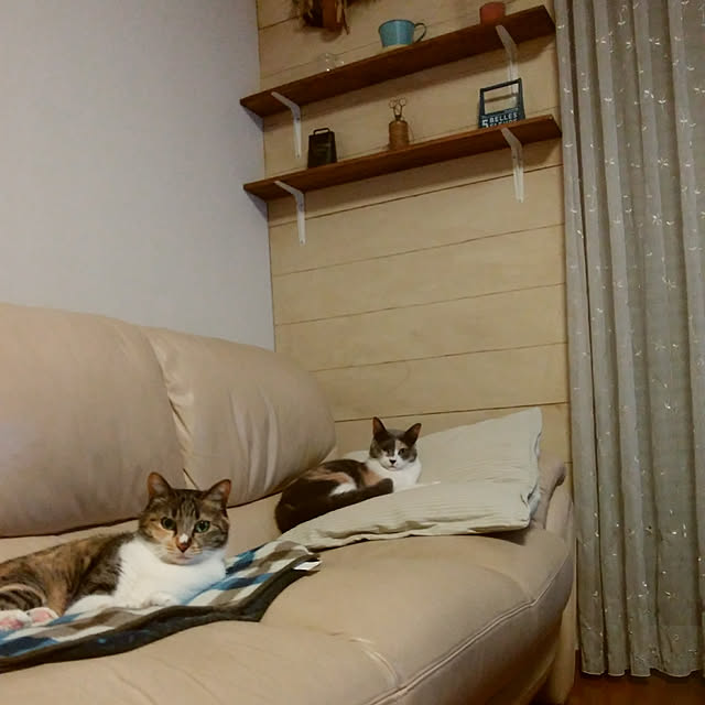 tomo1220さんの実例写真