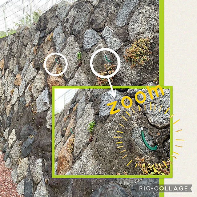m.mさんの実例写真