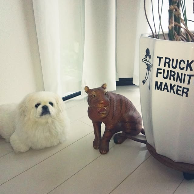 Rさんの実例写真
