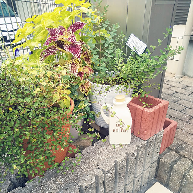k.yさんの実例写真