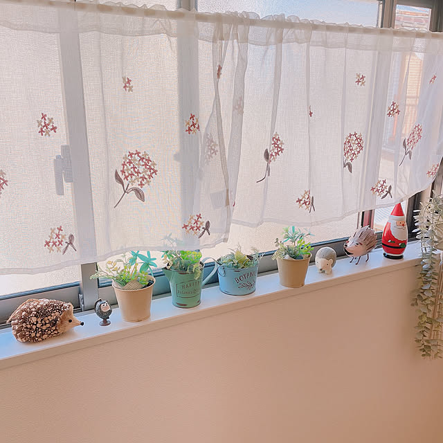 akiko-ovさんの部屋