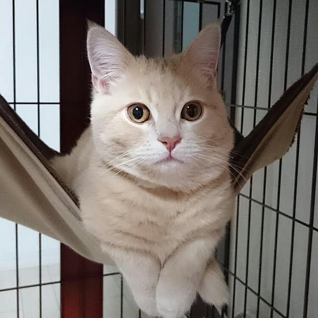 yukiさんの実例写真