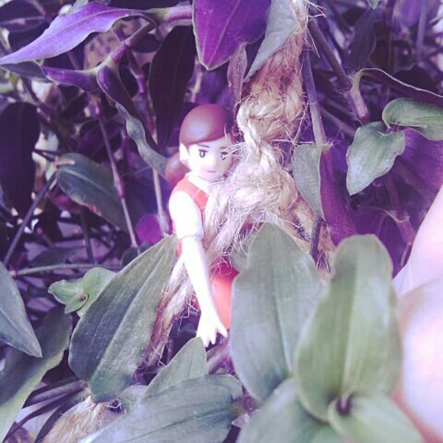 akr29さんの実例写真