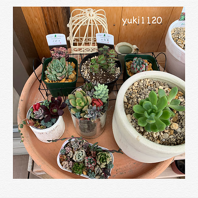 Yuki1120さんの実例写真