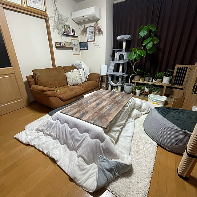 Akiさんの実例写真
