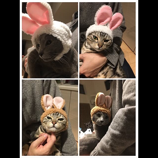 maripoさんの実例写真