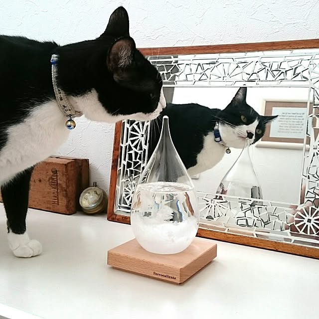 hiyo.pietさんの実例写真