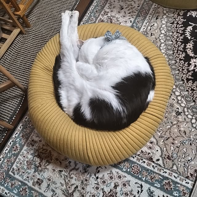 yuuさんの実例写真